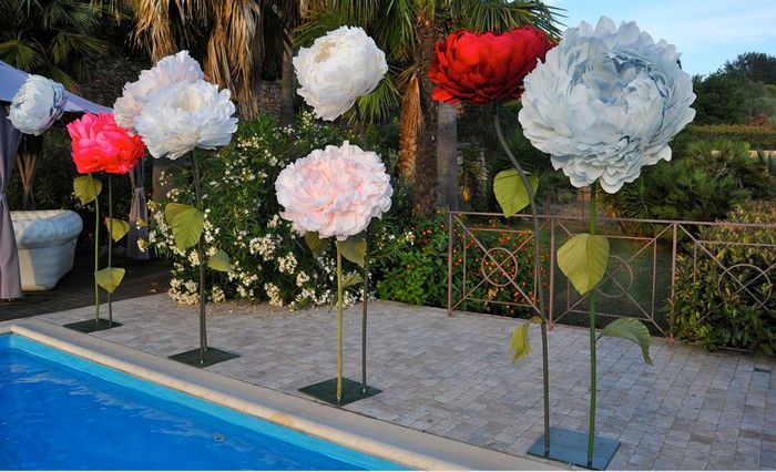 Fiori: ✅ o ⚠️? - 1