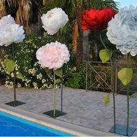 Fiori: ✅ o ⚠️? - 1