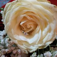 Anello mio quanto sei bello..... - 1