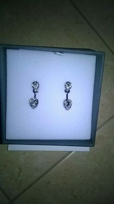 Indecisione orecchini - 1