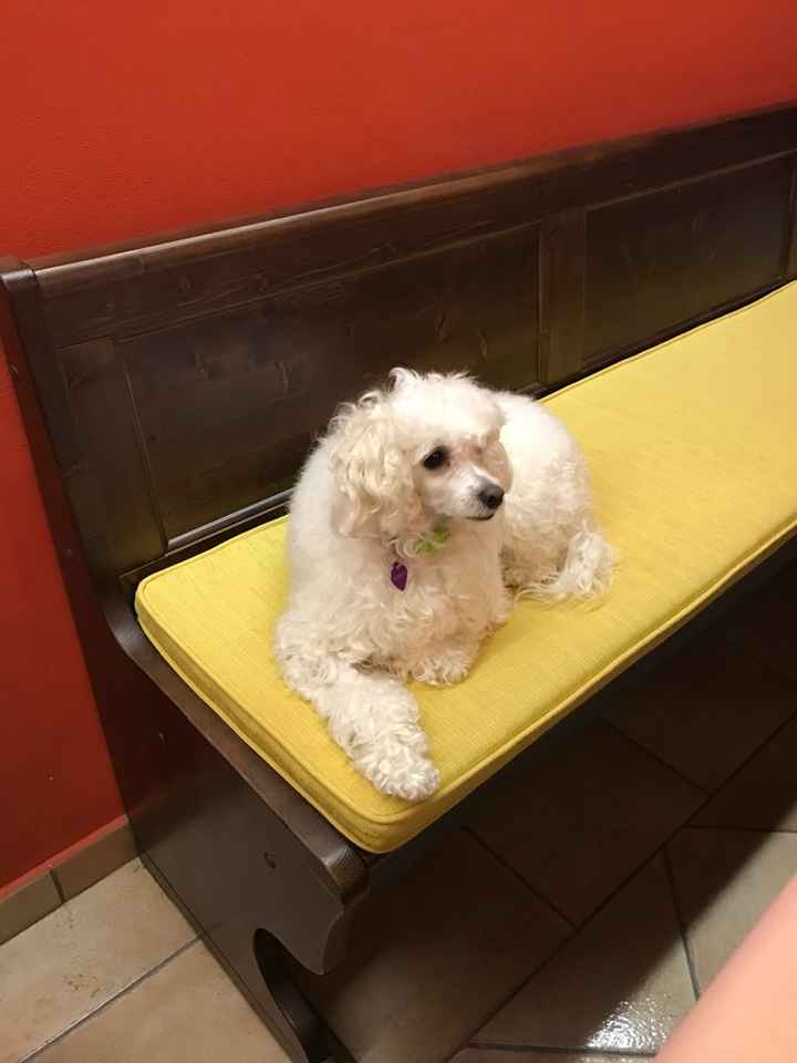 Siamo chico e cuba - 1