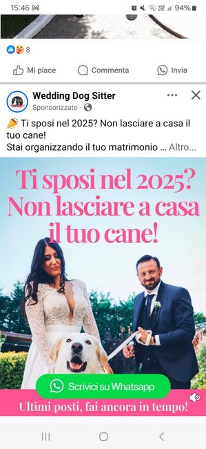 S.o.s. Dogsitter😍 1