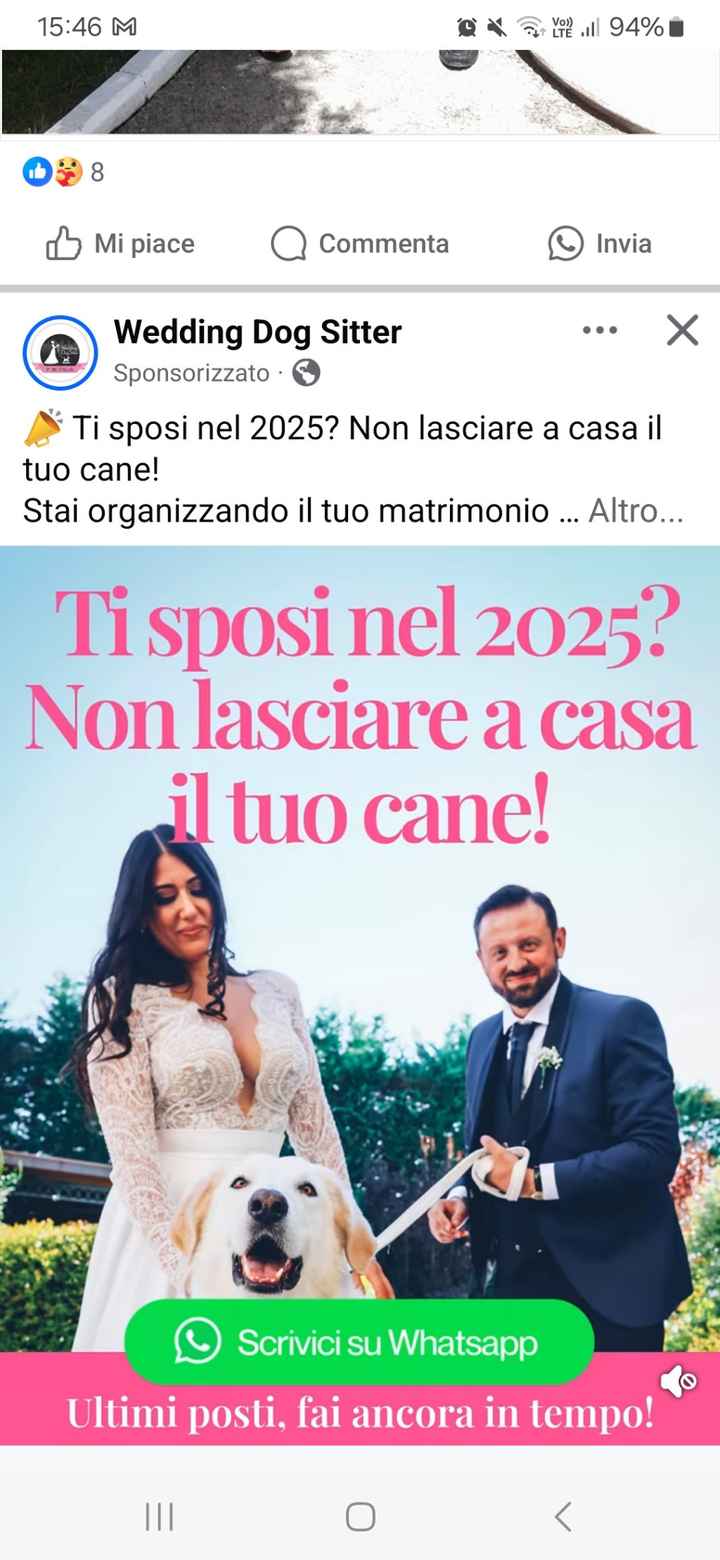 S.o.s. Dogsitter😍 - 1