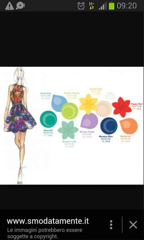 Damigelle grandi - 1