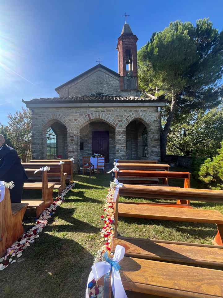 Decorazioni floreali colorate - 3