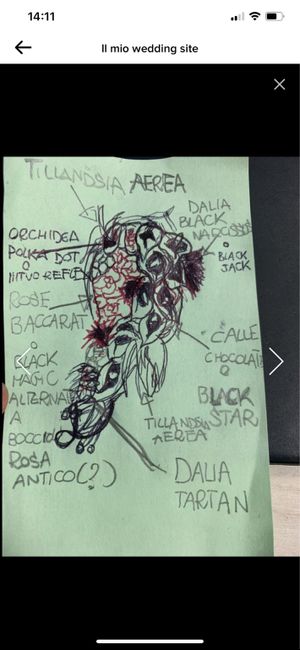 Consigli 1^ volta dal fiorista 🙈 - 1