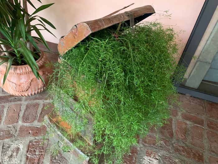 Scorci di location🌿🪴🍂 - 4