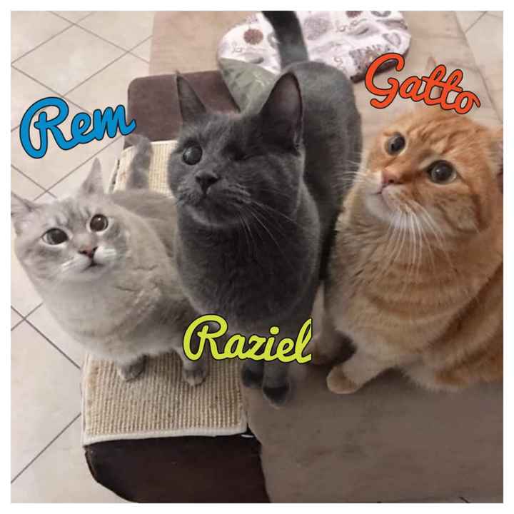 Cos'è la cosa che vi rende più felici? ❤️ - 1