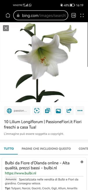Help me Fioraia - 1