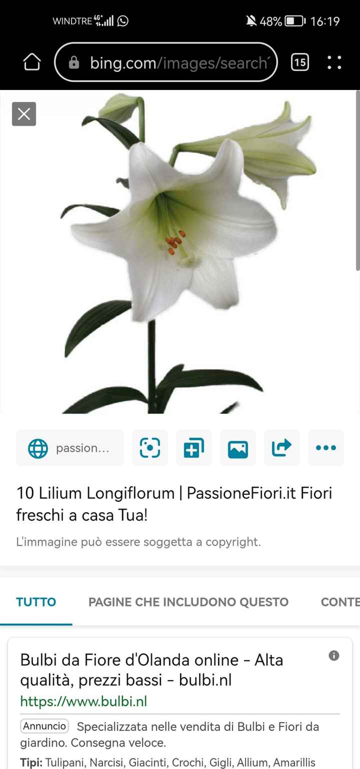 Help me Fioraia - 1