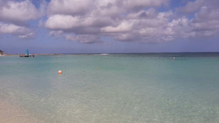 Viaggio di nozze e problemi di lingue xd - 5