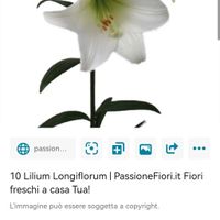 Help me Fioraia - 1