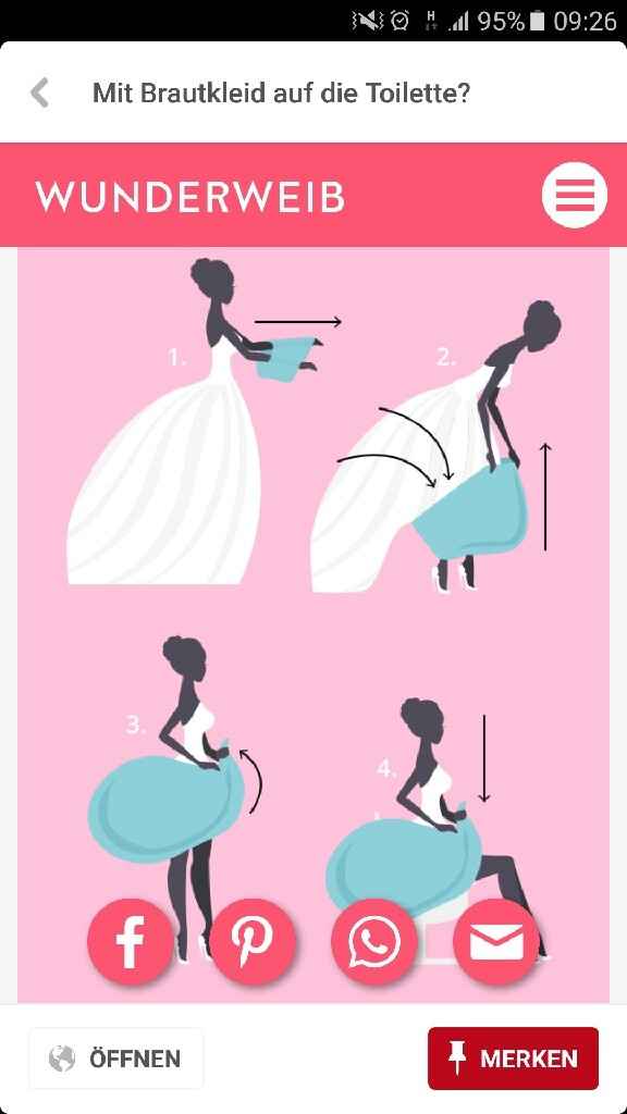 Misterio risolto - la sposa e la toilette - 1