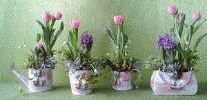 Usare allestimenti floreali ecologici 1