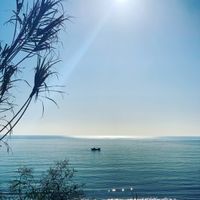 Dove ti sposerai? - 1