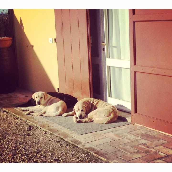 La nuova arrivata ?? - 1