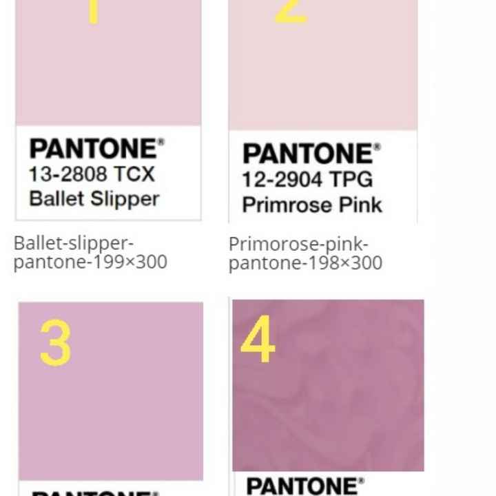 il tema del mio matrimonio - 1