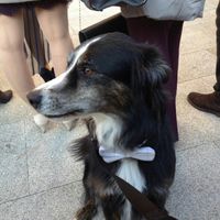 07.12.2016....e il sogno diventa realtà! - 6