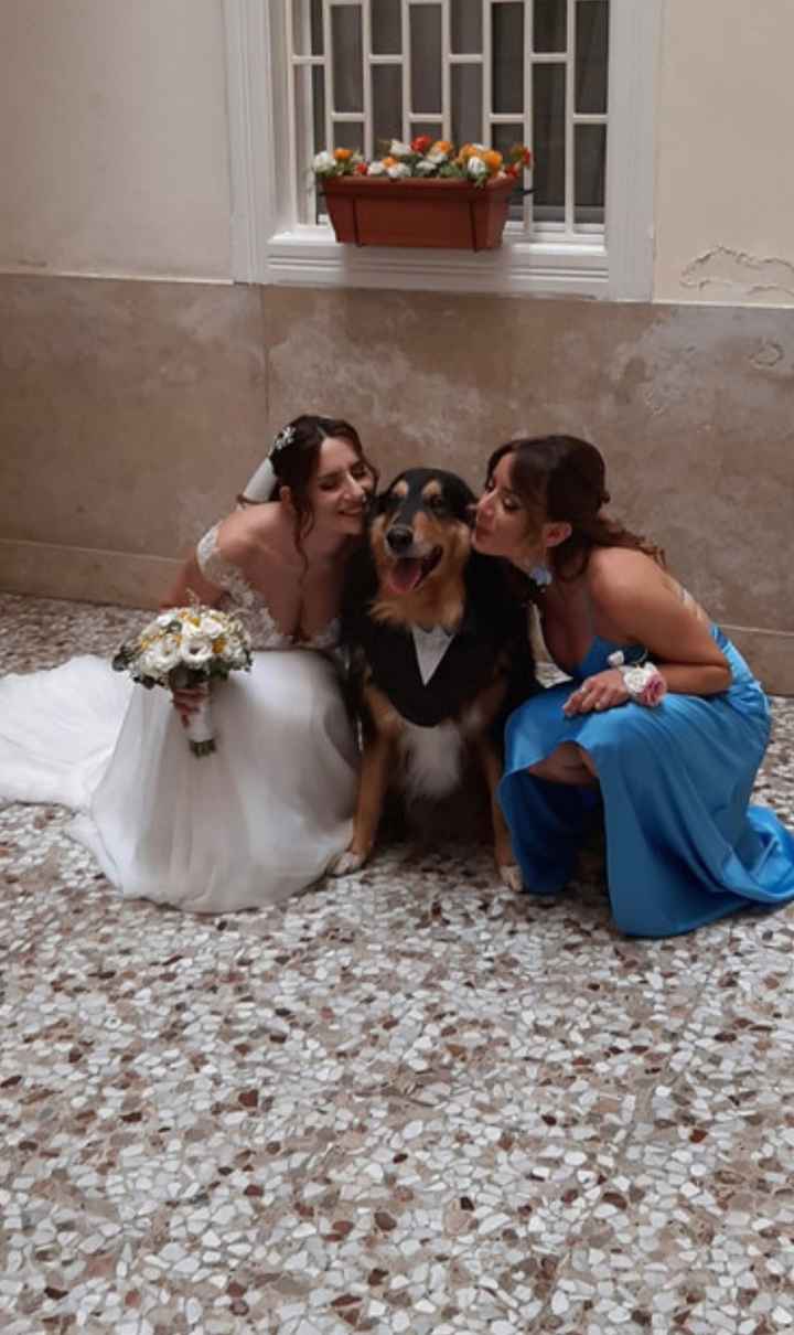 Matrimonio e amici a quattro zampe - 1