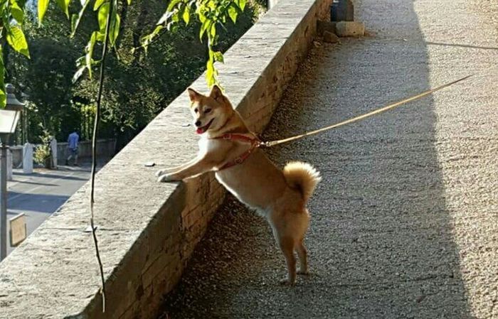 La nuova arrivata ?? - 2