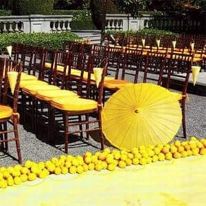 Matrimonio tema limoni - 35