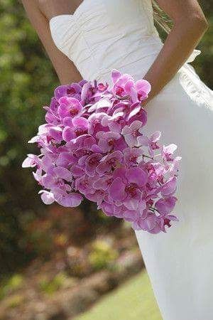 Matrimonio tema orchidee - 29