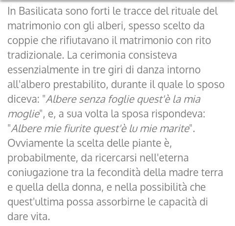 Matrimonio in basilicata - 5