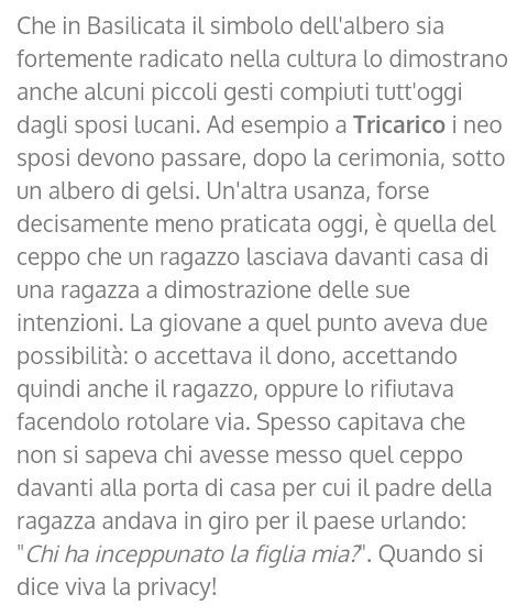 Matrimonio in basilicata - 6
