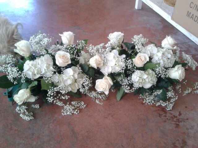 ortensie rose