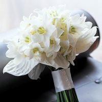 Il nome di questi fiori??? - 2