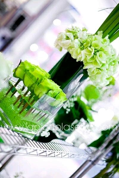 Tema verde x voi :) - 8