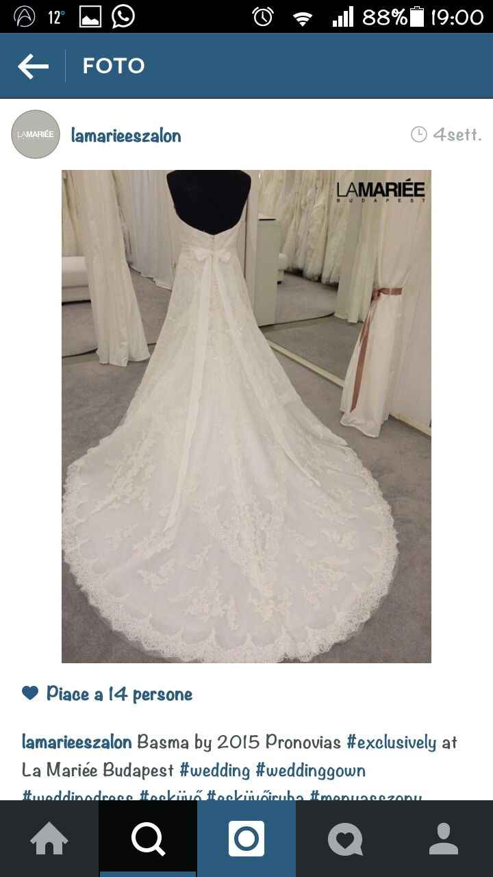 Pronovias fan club di matrimonio.com!!! - 2