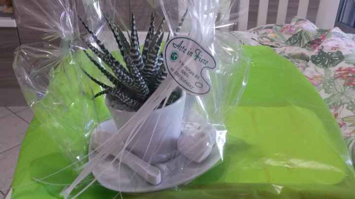 Bomboniera piantina vi piace?  - 1