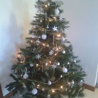 Il vostro albero di Natale! - 1