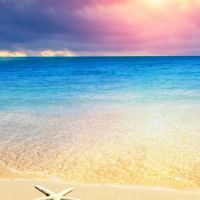 le mie partecipazioni