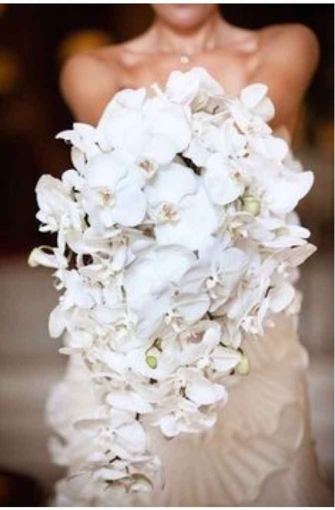 Sfida sposa sirena - 5