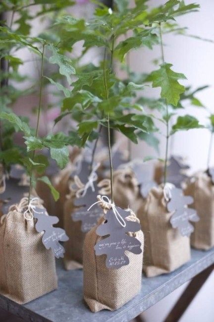 Il tema delle mie nozze - annaflavia - 10