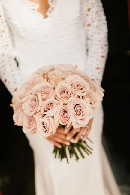 rose -
