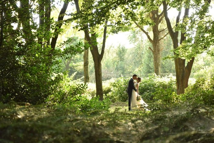 Ecco il nostro giorno più bello! - 9