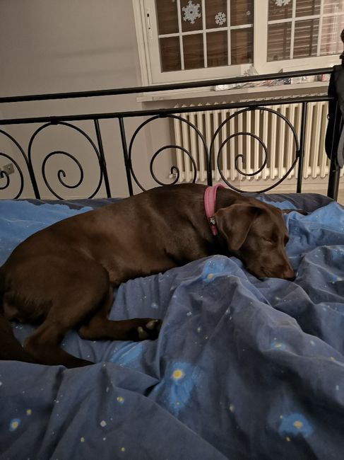 Letto in ferro battuto?? 3