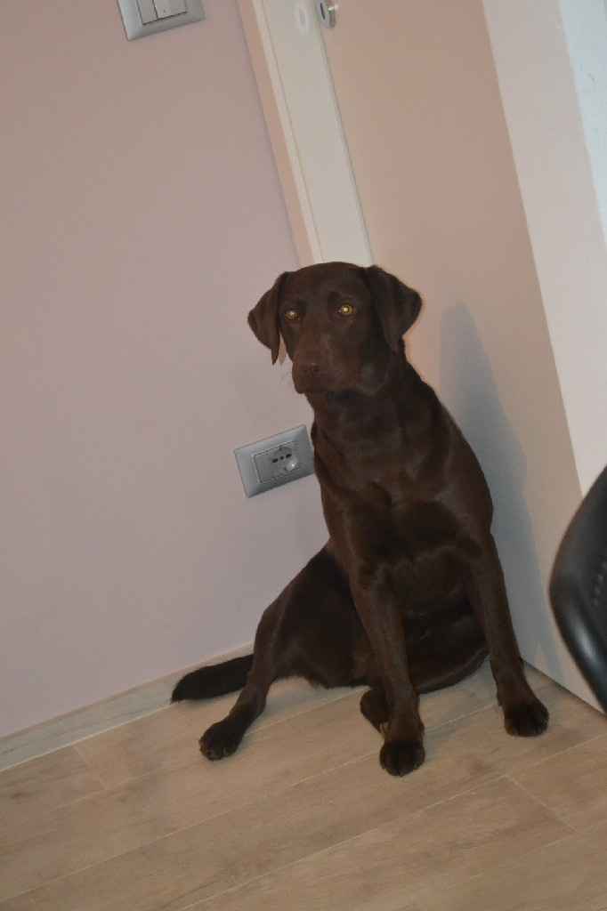 Collaboratori pelosi ❤️ - 1