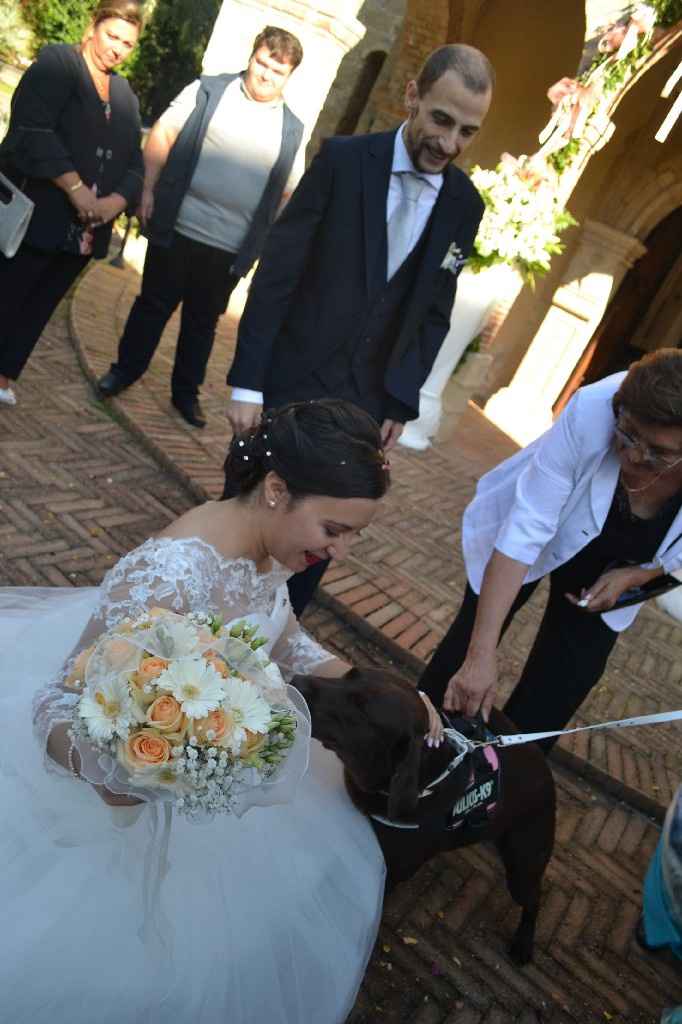 matrimonio a 4 zampe - 1