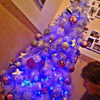 Alberello di natale pre wedding - 1