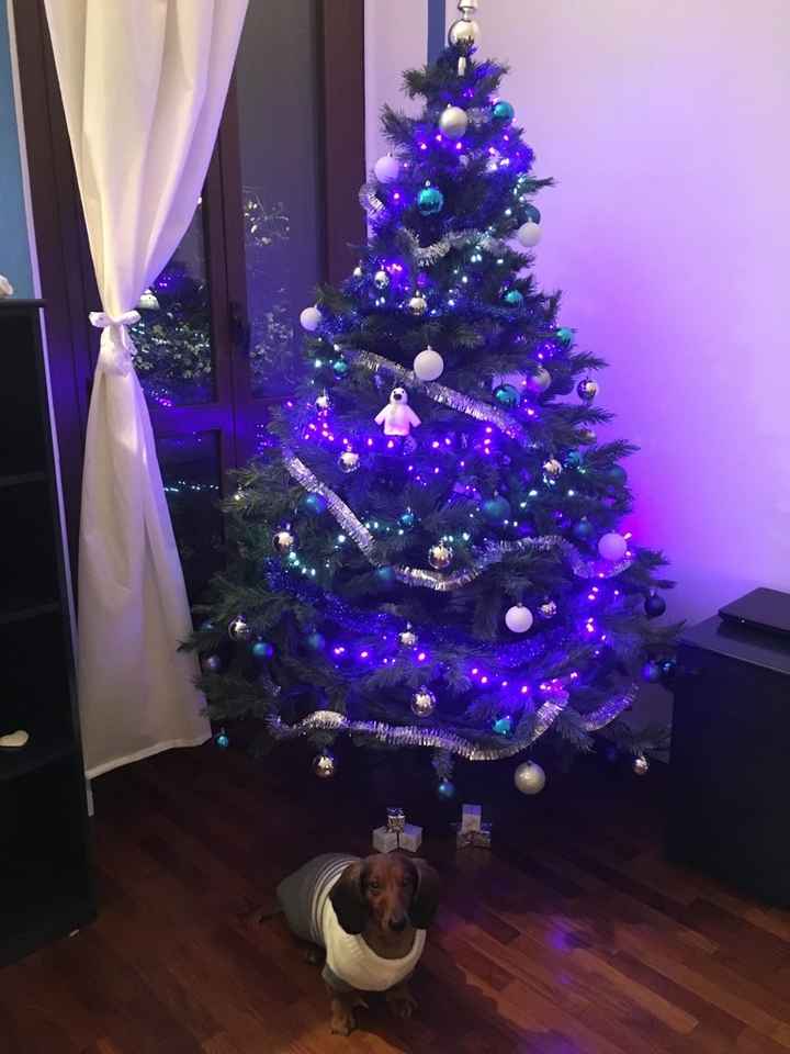 I nostri alberi.... - 1