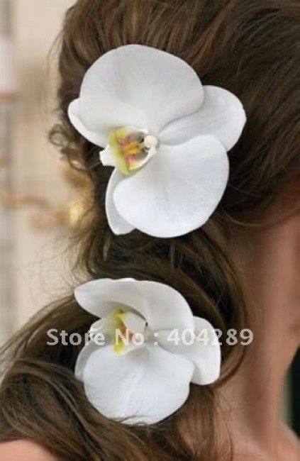 orchidea capelli 01