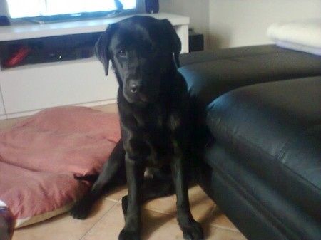 Yuma dio se te set belaaa