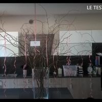 Questa era la struttura del tableau de mariage