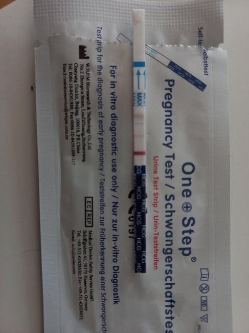 Future mamme Dicembre 2022 - 2