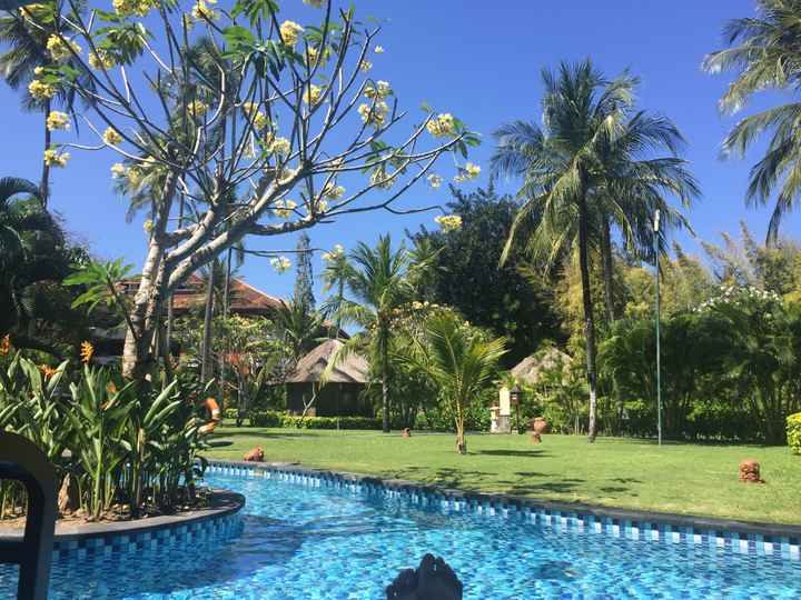 Viaggio di nozze indonesia... settembre 2017! - 1