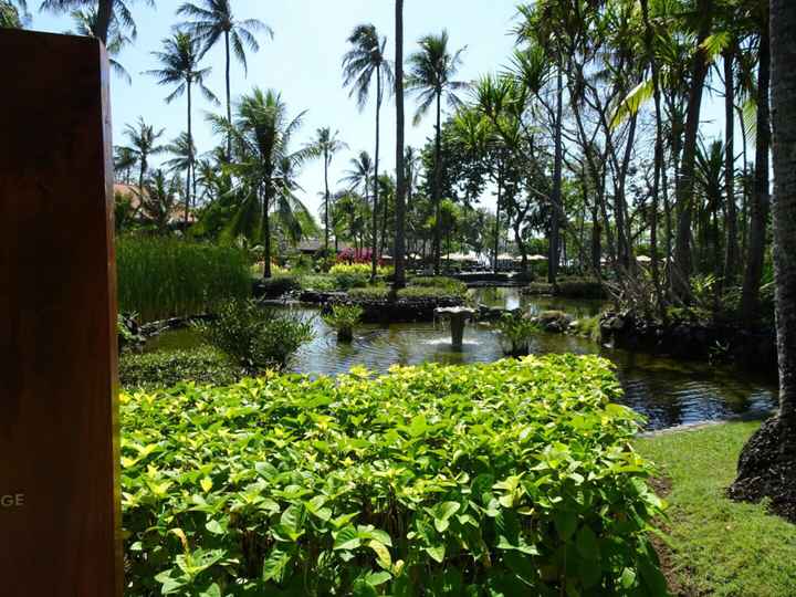 Viaggio di nozze indonesia... settembre 2017! - 2